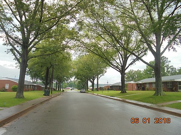 Photo of Old Walnut Subdivision